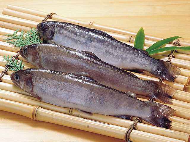 【販売終了】岐阜県産)冷凍岩魚 1kg (10尾)【旧商品 553346 からの切り替え】