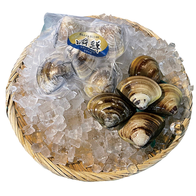 瞬鮮)伊勢湾はまぐり 大 500g(1個100－120g)