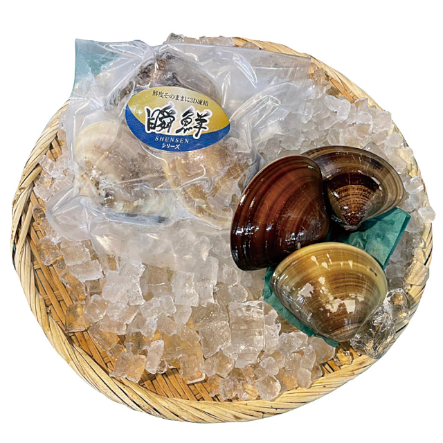 瞬鮮)伊勢湾はまぐり 特大 500g(1個150－200g)