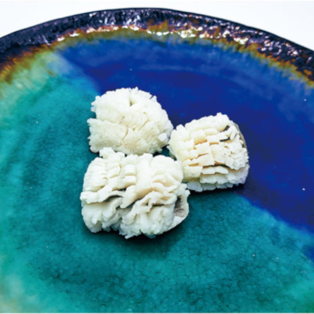 平八)活〆牡丹鱧 300g (30個入)【季節限定4月-8月】
