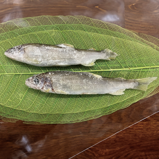 清流の稚鮎打ち粉付け500g(40～50尾入)【季節限定4月-8月】【新商品】