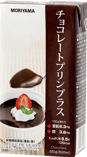 【販売終了】守山)チョコレートプリンプラス 500ml(551g)
