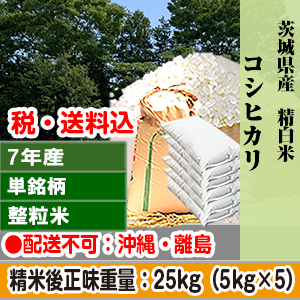 コシヒカリ 25kg 茨城県 R7年産 未検査 単年産・単銘柄整粒米 整粒米(1.85mm～) 精白米【代引不可】 発送は発送予定表を要確認 (配送不可：沖縄・離島)