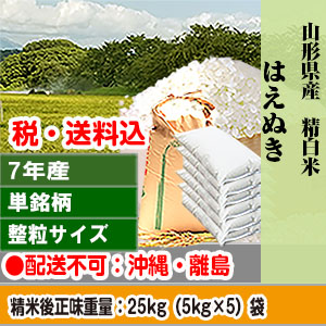はえぬき 25kg 山形県 R7年産 1等米 単銘柄 整粒米 精白米【代引不可】 発送は発送予定表を要確認 (配送不可：沖縄・離島)