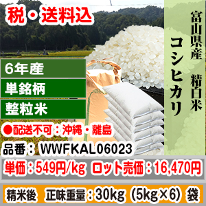 コシヒカリ 30kg 整粒米 精白米 富山県黒部 R6年産 1等米 発送は発送予定表を要確認 (配送不可：沖縄・離島) 代引不可