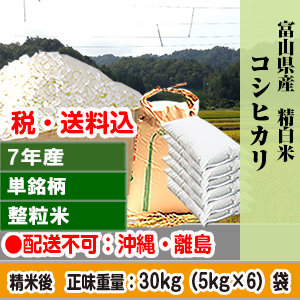 コシヒカリ 30kg(5kg×6) 精白米 単銘柄 1等米 大粒整粒米 富山県 R7年産【賞味期限(精米後)整粒米：40日】 発送は発送予定表を要確認 (配送不可：沖縄・離島)