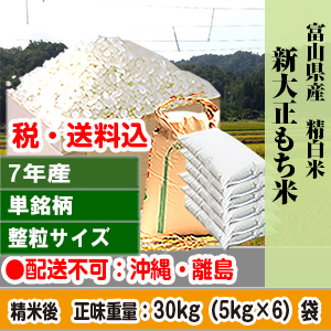 新大正もち米 30kg(5kg×6) 精白米 単銘柄 1等米 整粒米 富山県 R7年産【賞味期限(精米後)整粒米：40日】 発送は発送予定表を要確認 (配送不可：沖縄・離島)