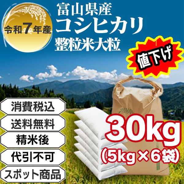 富山産の高品質コシヒカリ