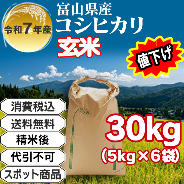 黒部のコシヒカリ 30kg(5kg袋×6入
) 整粒米 単銘柄 1等米 富山県R7年産 (発送は発送予定表を要確認)(配送不可：沖縄・離島)