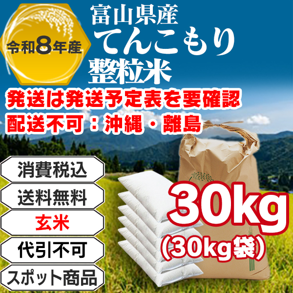 てんこもり 玄米 30kg袋 整粒米 単一銘柄 1等米 富山県黒部R8年産-J01EYP