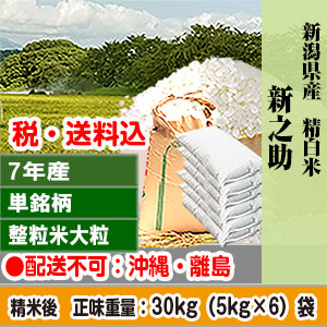 新之助 30kg 新潟県 R7年産 1等米 単銘柄 大粒整粒米 精白米 発送は発送予定表を要確認 (配送不可：沖縄・離島)