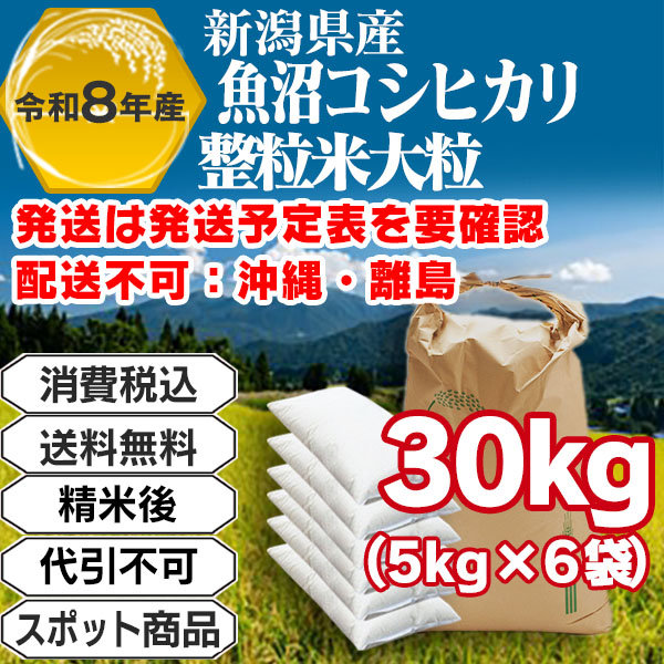 魚沼コシヒカリ 30kg(5kg袋×6入)整粒米大粒 単一銘柄 1等米 新潟県R8年産-J01TYP