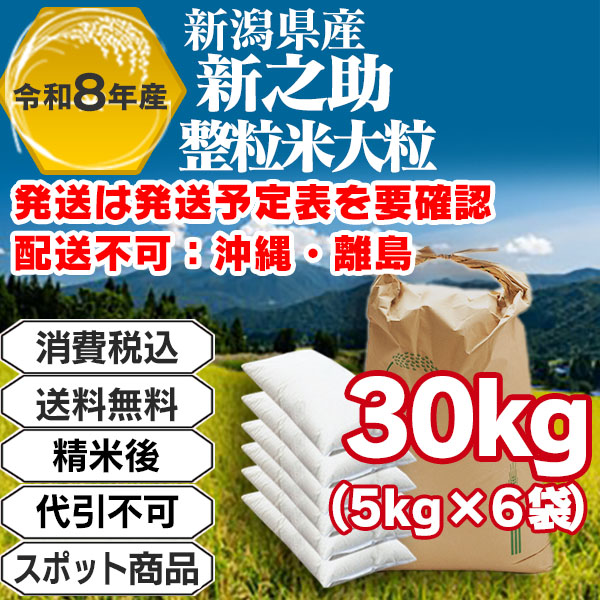 新之助 30kg(5kg袋×6入)整粒米大粒 単一銘柄 1等米 新潟県R8年産-J01TOP