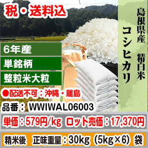 コシヒカリ 30kg 整粒米柄 精米した白米 島根県仁多 6年産 1等米 発送は発送予定表を要確認 (配送不可：沖縄・離島) 代引不可