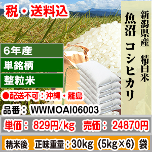 魚沼コシヒカリ 30kg 整粒米柄 精米した白米 新潟県 6年産 1等 発送は発送予定表を要確認 (配送不可：沖縄・離島) 代引不可