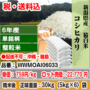 コシヒカリ 30kg 整粒米柄 精米した白米 新潟県 6年産 1等 発送は発送予定表を要確認 (配送不可：沖縄・離島) 代引不可