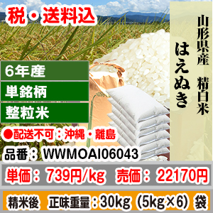 はえぬき 30kg 整粒米柄 精米した白米 山形県 6年産 1等 発送は発送予定表を要確認 (配送不可：沖縄・離島) 代引不可