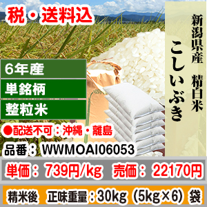 こしいぶき 30kg 整粒米柄 精米した白米 新潟県 6年産 1等 発送は発送予定表を要確認 (配送不可：沖縄・離島) 代引不可