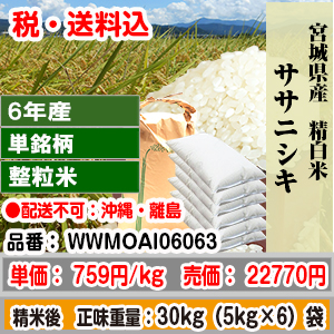 ササニシキ 30kg 整粒米柄 精米した白米 宮城県 6年産 1等 発送は発送予定表を要確認 (配送不可：沖縄・離島) 代引不可