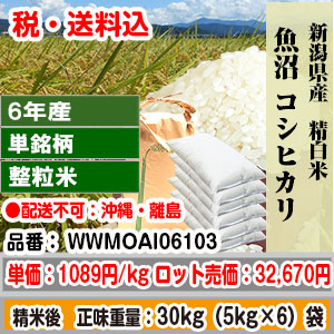魚沼コシヒカリ 30kg 新潟県 R6年産 1等 整粒米 精白米【代引不可】 発送は発送予定表を要確認 (配送不可：沖縄・離島)