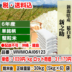 新之助 30kg 新潟県 R6年産 1等 整粒米 精白米【代引不可】 発送は発送予定表を要確認 (配送不可：沖縄・離島)