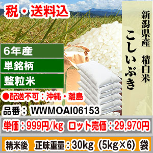 こしいぶき 30kg 新潟県 R6年産 1等 整粒米 精白米【代引不可】 発送は発送予定表を要確認 (配送不可：沖縄・離島)