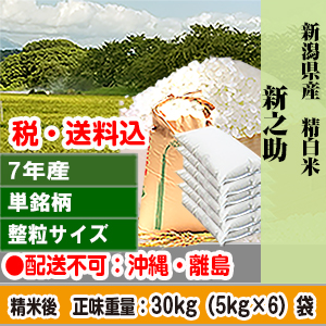 新之助 30kg 新潟県 R7年産 1等 単銘柄 整粒米 精白米【代引不可】 発送は発送予定表を要確認 (配送不可：沖縄・離島)