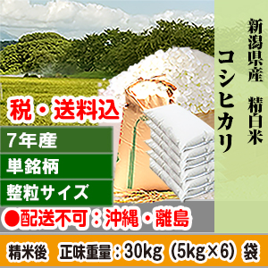 コシヒカリ 30kg 新潟県 R7年産 1等 単銘柄 整粒米 精白米【代引不可】 発送は発送予定表を要確認 (消費税・送料込/配送不可：沖縄・離島)
