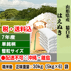 はえぬき 30kg 山形県 R7年産 1等 単銘柄 整粒米 精白米【代引不可】 発送は発送予定表を要確認 (消費税・送料込/配送不可：沖縄・離島)