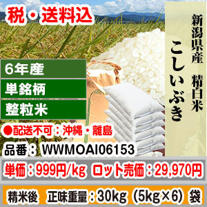 こしいぶき30kg 新潟県 R7年産 1等 単銘柄 整粒米 精白米【代引不可】 発送は発送予定表を要確認 (消費税・送料込/配送不可：沖縄・離島)