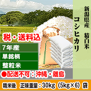 コシヒカリ 30kg 新潟県 R7年産 1等米 単銘柄 整粒米 精白米【代引不可】 発送は発送予定表を要確認 (配送不可：沖縄・離島)