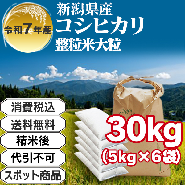 コシヒカリ 30kg(5kg中袋×6入箱) 単銘柄 整粒米 1等米 精白米 新潟県押切R7年産 【賞味期限(精米後)整粒米：40日】発送は発送予定表を要確認(配送不可：沖縄・離島)