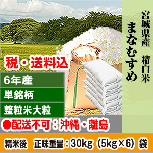 まなむすめ 30kg(5kg×6) 宮城県 R6年産 単銘柄 大粒整粒米 精白米【賞味期限(精米後)：40日】 発送は発送予定表を要確認(配送不可：沖縄・離島)