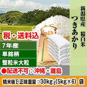 つきあかり 30kg(5kg×6) 精白米 新潟県 R7年産 1等米 単銘柄 大粒整粒米 【賞味期限(精米後)：40日】 発送は発送予定表を要確認 (配送不可：沖縄・離島)